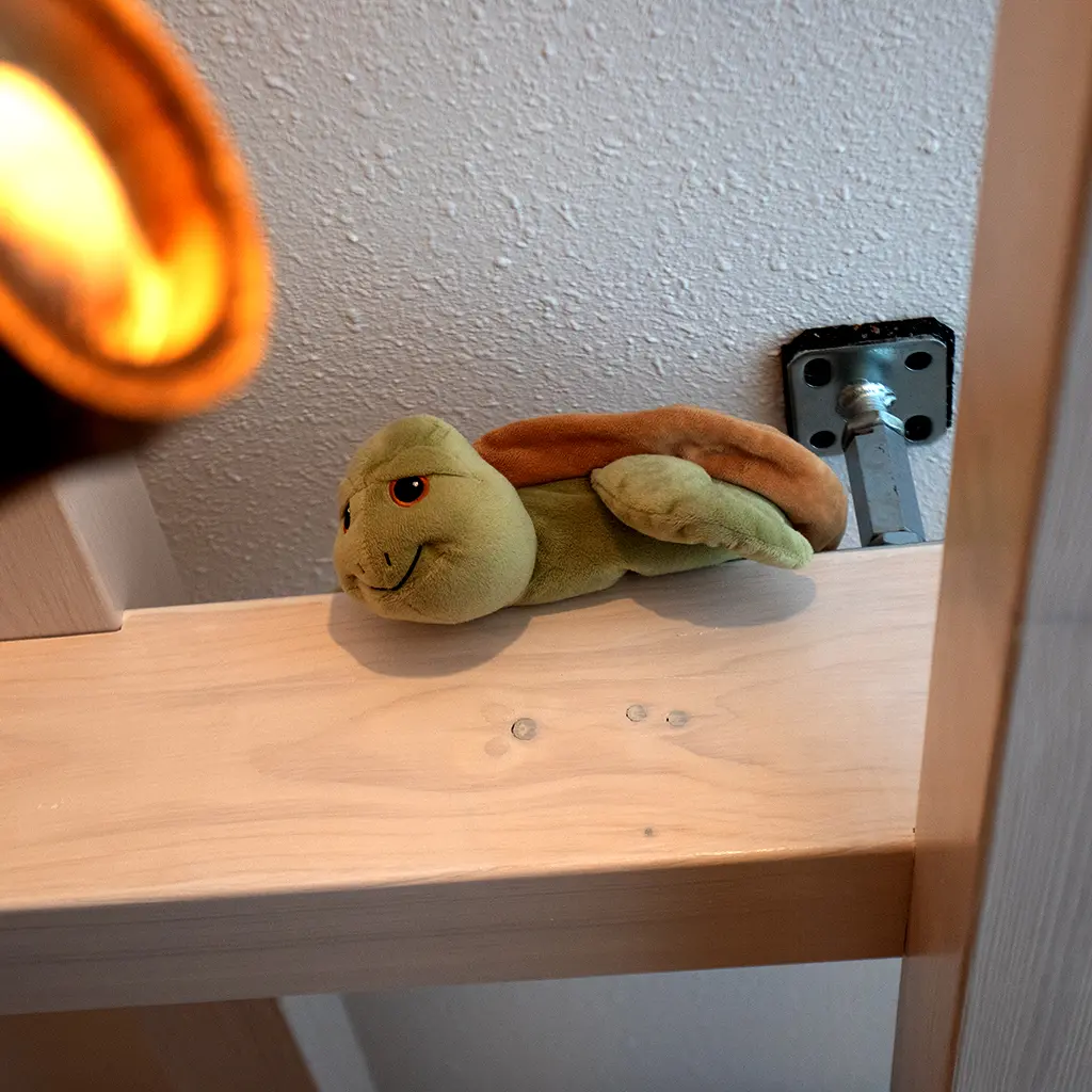 Schildi - Unser Mascottchen schaut gespannt zu was hier so los ist.